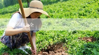 蔬菜名称大全