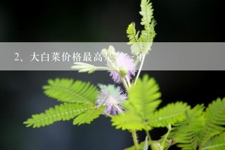 大白菜价格最高是哪一年