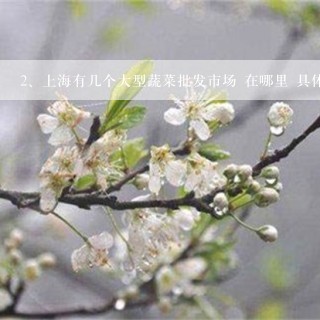 上海有几个大型蔬菜批发市场 在哪里 具体地址 批量