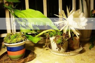 西兰花种植方法 简述西兰花种植方法