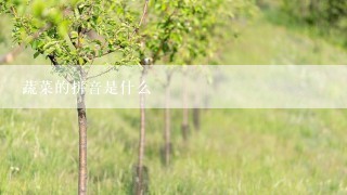 蔬菜的拼音是什么