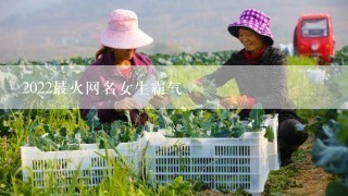 2022最火网名女生霸气