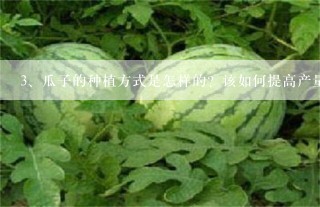 瓜子的种植方式是怎样的？该如何提高产量？