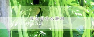 兰花的种植方法