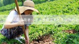 九阳豆浆机能磨豆子玉米蔬菜果汁米糊糊的有哪几种