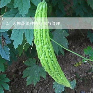 大棚蔬菜种植技术与管理