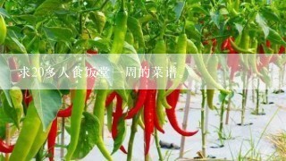 求20多人食饭堂一周的菜谱。