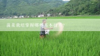 菠菜栽培掌握哪些基本技术？