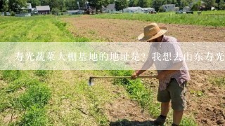 寿光蔬菜大棚基地的地址是？我想去山东寿光学习蔬菜大棚技术。想找蔬菜基地附近的正规点的工程学习一下。