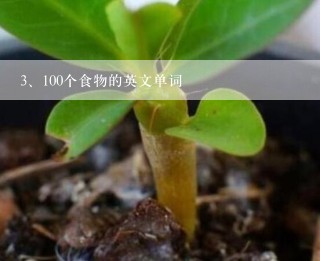 100个食物的英文单词