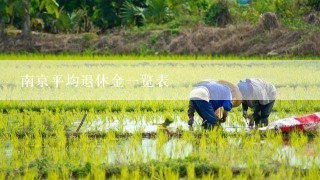 南京平均退休金一览表