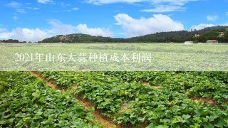 2021年山东大蒜种植成本利润