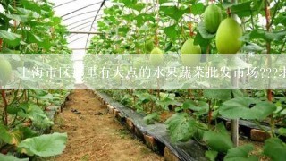 上海市区那里有大点的水果蔬菜批发市场???求价格便宜点的、?? 徐汇区有吗??