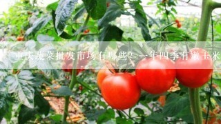 重庆蔬菜批发市场有哪些？一年四季有嫩玉米卖没得？