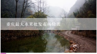 重庆最大水果批发市场位置