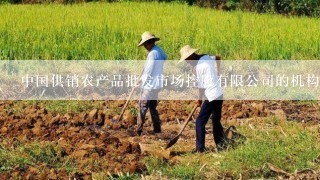 中国供销农产品批发市场控股有限公司的机构领导