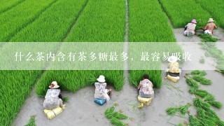 什么茶内含有茶多糖最多，最容易吸收