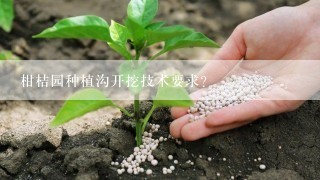 柑桔园种植沟开挖技术要求？