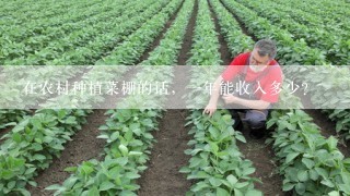 在农村种植菜棚的话，一年能收入多少？