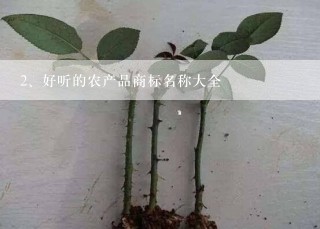 好听的农产品商标名称大全