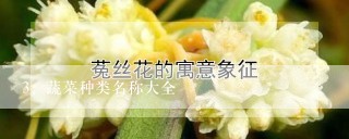 蔬菜种类名称大全