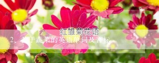 关于蔬菜的英语单词及音标