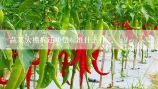 蔬菜大棚拆迁补偿标准什么什么