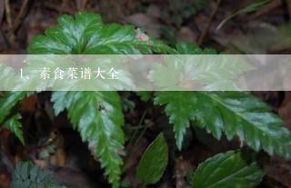 素食菜谱大全