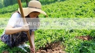 土豆种植补贴应咨询什么部门？中国三农网提问