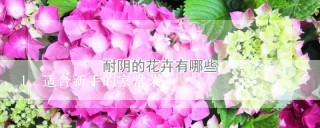 适合新手的家常菜