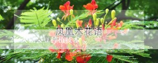 大棚芸豆种植技术