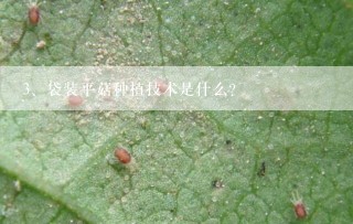 袋装平菇种植技术是什么？