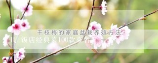 饭店经典菜100款菜名