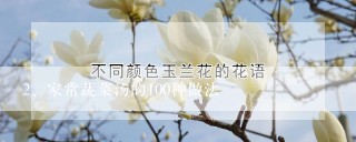 家常蔬菜汤的100种做法