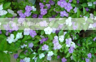 蔬菜作用和功效大全