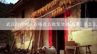 武汉白沙洲大市场进去批发货物[蔬菜] 是怎么收费