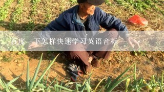 百度一下怎样快速学习英语音标