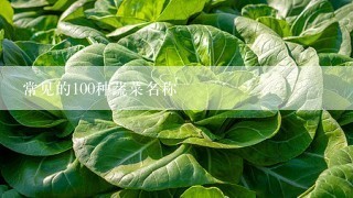 常见的100种蔬菜名称