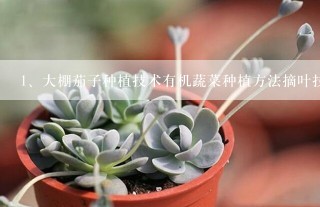 大棚茄子种植技术有机蔬菜种植方法摘叶技巧现场视频