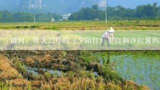 请问：昨天22号的《夕阳红》里自制沙拉酱的做法是什么？