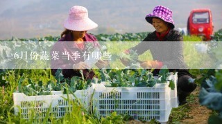 6月份蔬菜当季有哪些