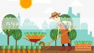 四川省最大的蔬菜批发市场在那里？
