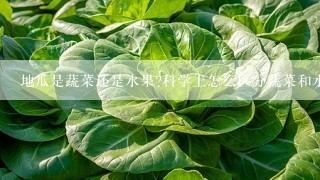 地瓜是蔬菜还是水果?科学上怎么区分蔬菜和水果？