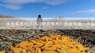 珠海那里可以学习种菜技术？我觉得做一个农民没有什么不好的。