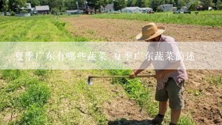 夏季广东有哪些蔬菜 夏季广东蔬菜简述