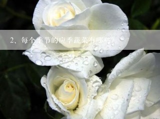 每个季节的应季蔬菜有哪些？