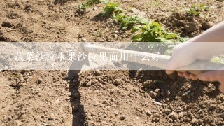 蔬菜沙拉水果沙拉里面用什么好