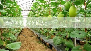 台湾四季柠檬种植技术？