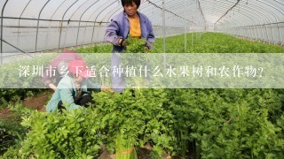 深圳市乡下适合种植什么水果树和农作物？