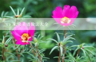 家常菜谱做法大全